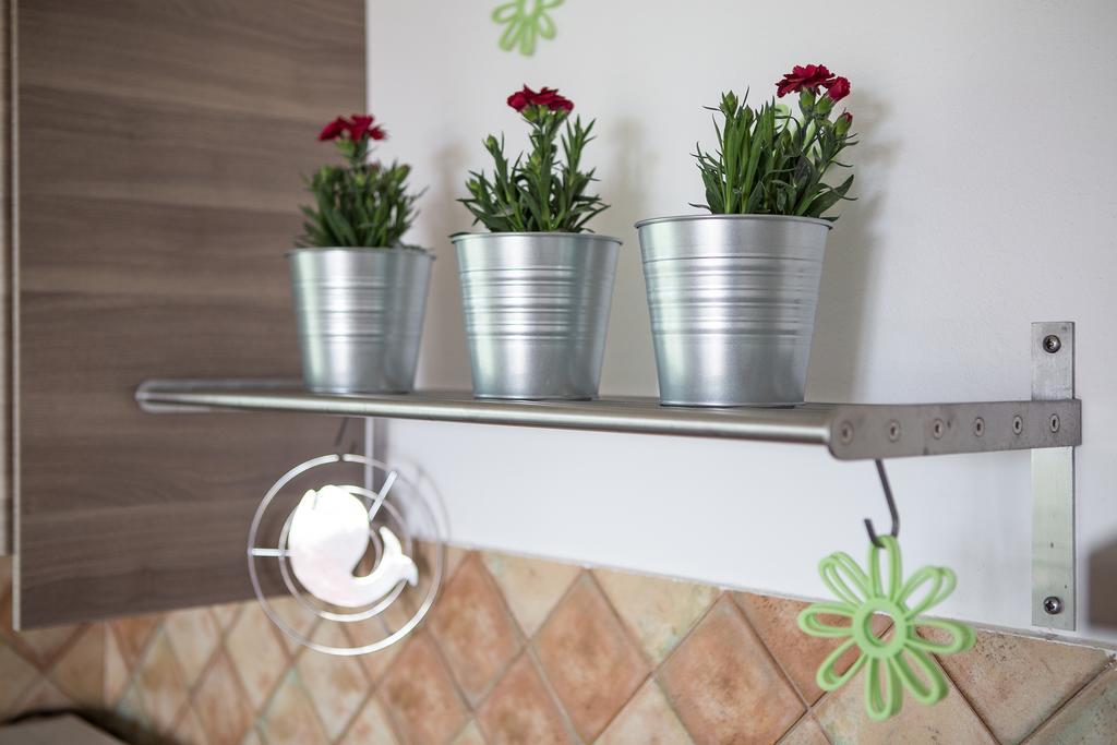 Apartments Roza Медулин Екстер'єр фото